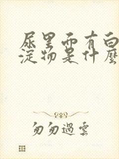 尿里面有白色沉淀物是什么原因