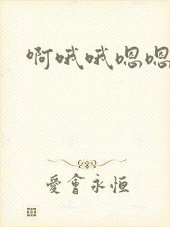 啊哦哦嗯嗯嗯封面