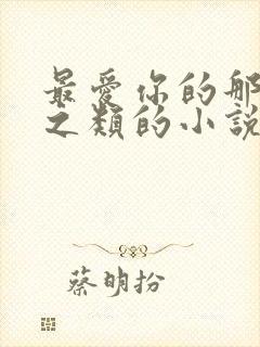 最爱你的那十年之类的小说