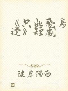 《只此飞鸟不相逢》短剧