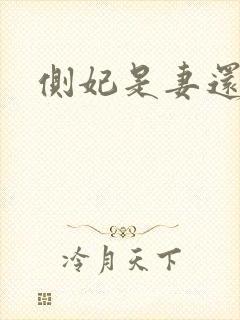 侧妃是妻还是妾封面