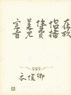 完美伴侣在线观看免费播放全集封面