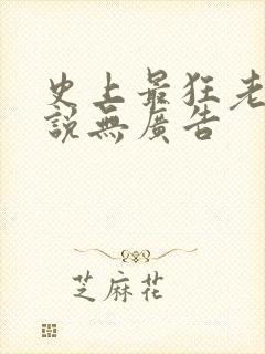 史上最狂老祖小说无广告