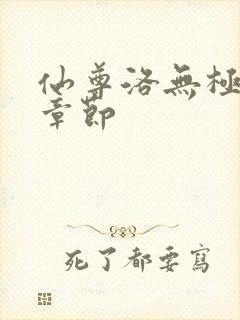 仙尊洛无极最新章节