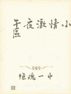午夜激情小说一区