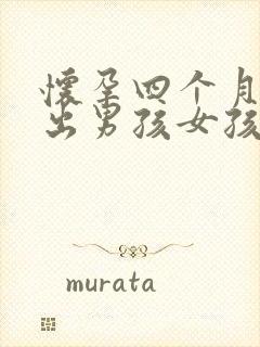 怀孕四个月能看出男孩女孩吗封面