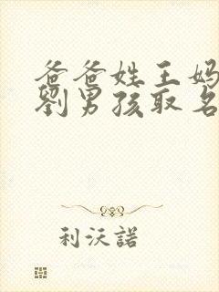 爸爸姓王妈妈姓刘男孩取名封面