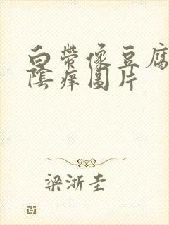 白带像豆腐渣外阴痒图片