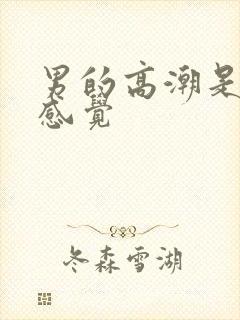 男的高潮是什么感觉