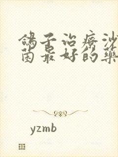 鸽子治疗沙门氏菌最好的药