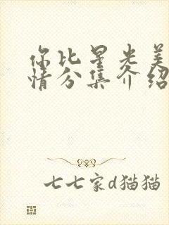 你比星光美丽剧情分集介绍