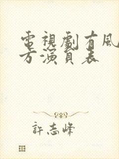 电视剧有风的地方演员表封面