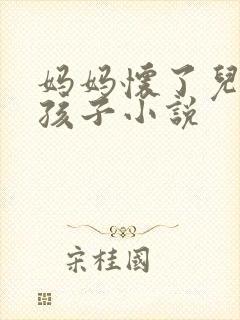 妈妈怀了儿子的孩子小说封面