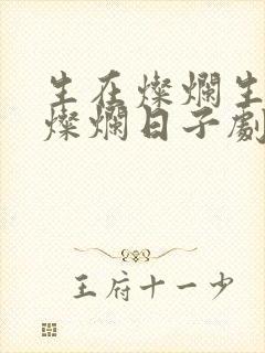 生在灿烂生逢在灿烂日子剧情介绍