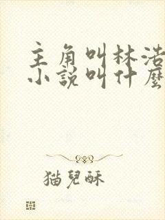 主角叫林浩然的小说叫什么封面