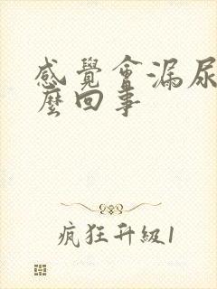 感觉会漏尿是怎么回事封面