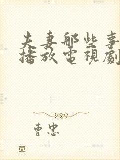 夫妻那些事免费播放电视剧全集