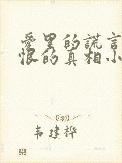 爱里的谎言,仇恨的真相小说