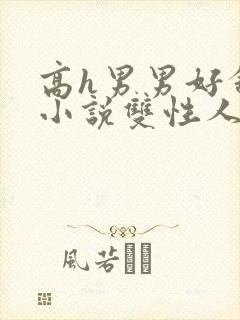 高h男男好舒服小说双性人