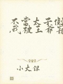 不当太子侧妃后,我被王爷宠成宝 短剧