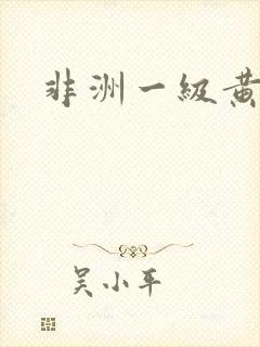 非洲一级黄色片