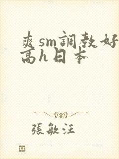 爽sm调教好舒高h日本