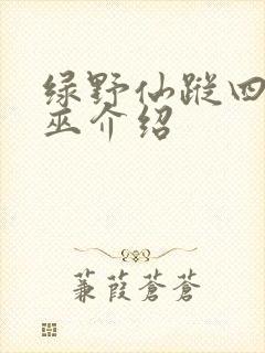 绿野仙踪四个女巫介绍封面