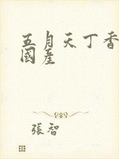 五月天丁香婷婷国产