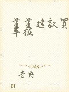 画画建议买什么平板封面