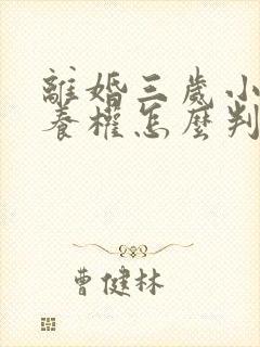 离婚三岁小孩抚养权怎么判定