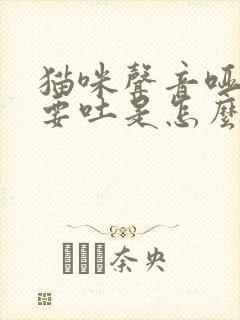 猫咪声音哑了还要吐是怎么回事