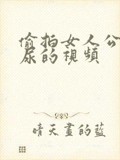 偷拍女人公厕尿尿的视频