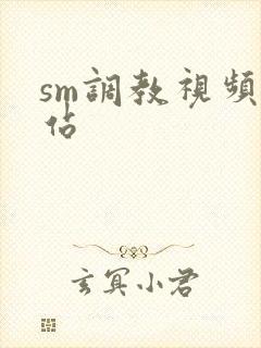 sm调教视频网站