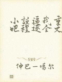 小说逼我重生是吧程逐全文阅读