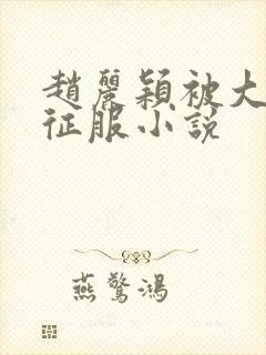 赵丽颖被大肉楱征服小说封面