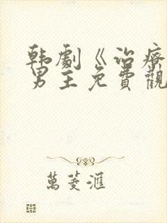 韩剧《治疗》双男主免费观看