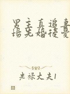 男主真追妻火葬场先婚后爱