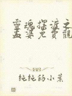 灵魂摆渡之黄泉孟婆免费观看