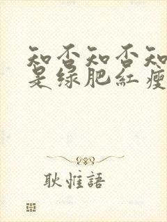 知否知否知否应是绿肥红瘦是什么季节封面