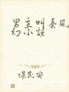 男主叫秦风的玄幻小说封面