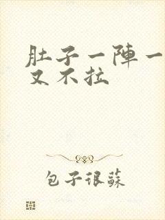 肚子一阵一阵痛又不拉