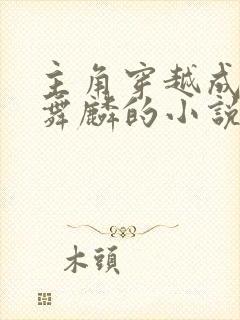 主角穿越成为唐舞麟的小说