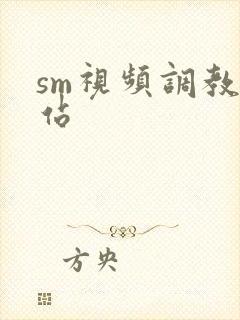 sm视频调教网站