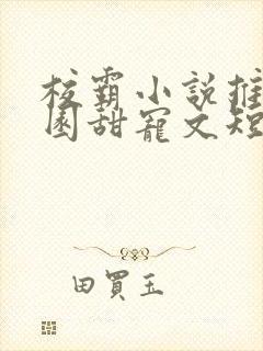 校霸小说推荐校园甜宠文短篇封面