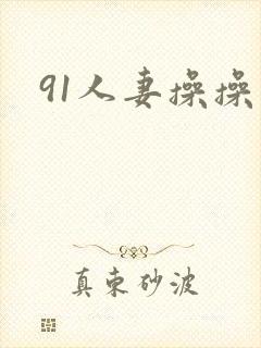 91人妻操操