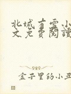 北城有雪小说全文免费阅读