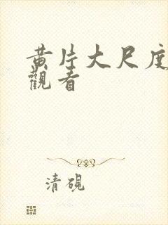 黄片大尺度在线观看