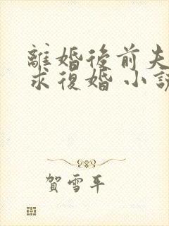 离婚后前夫哭着求复婚 小说完整封面