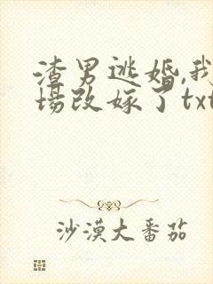 渣男逃婚,我当场改嫁了txt全本下载