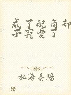 成了配角却被王子宠爱了